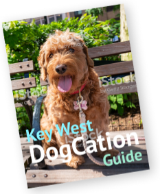 dogcation guide